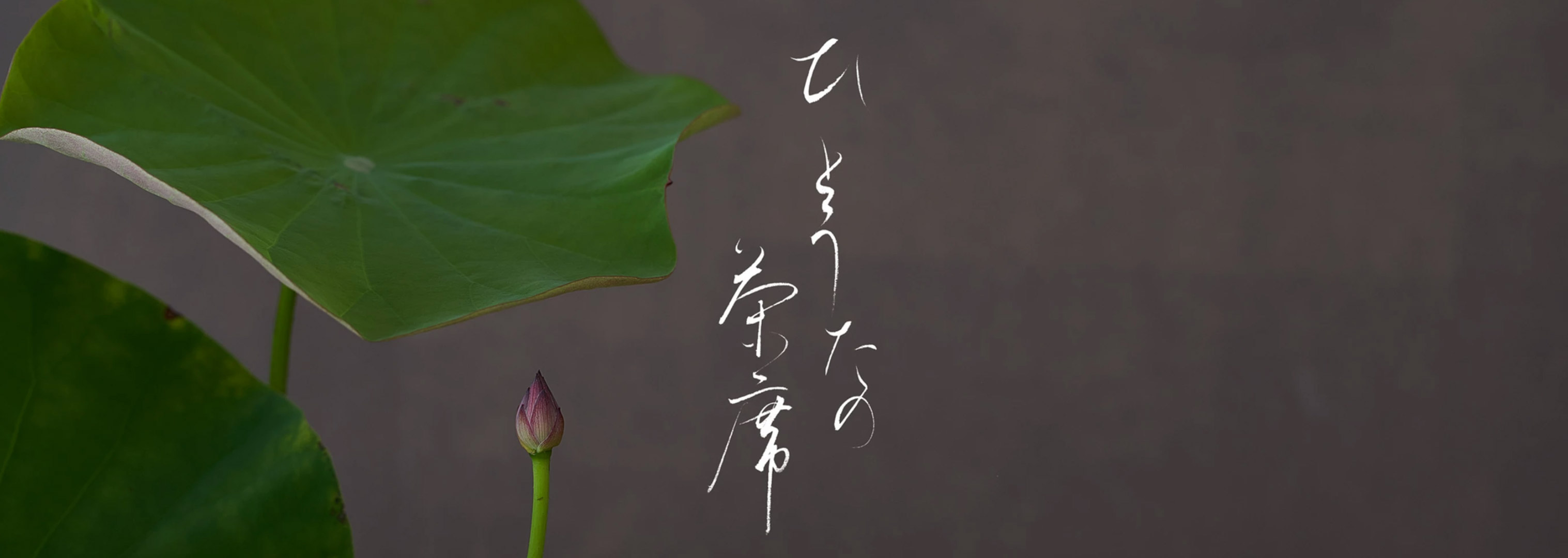 ひとうたの茶席