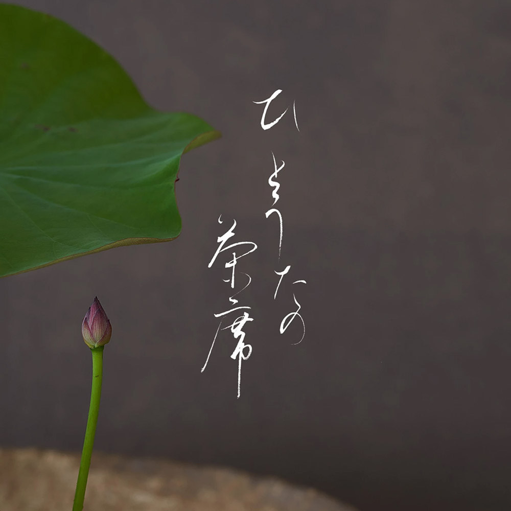 御表具 田 - 掛軸・屏風・額装 -